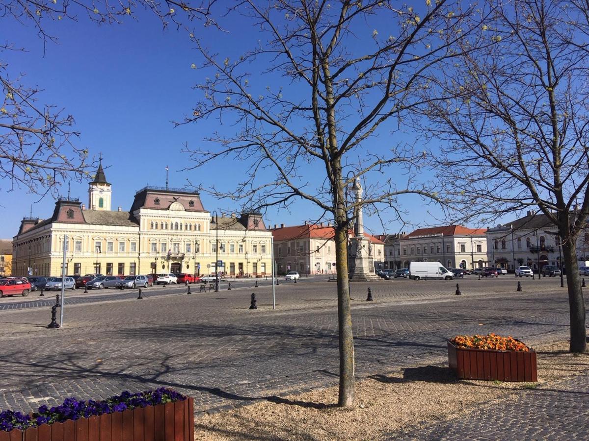 Hotel Foter Panzio Baja Zewnętrze zdjęcie
